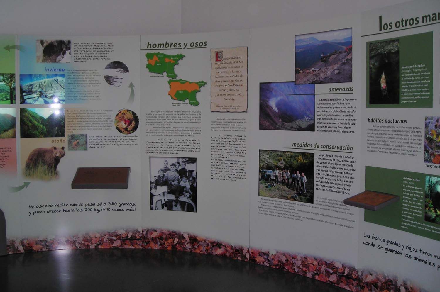 Aniversario Centro del Urogallo de Caboalles de Arriba ICAL (6)