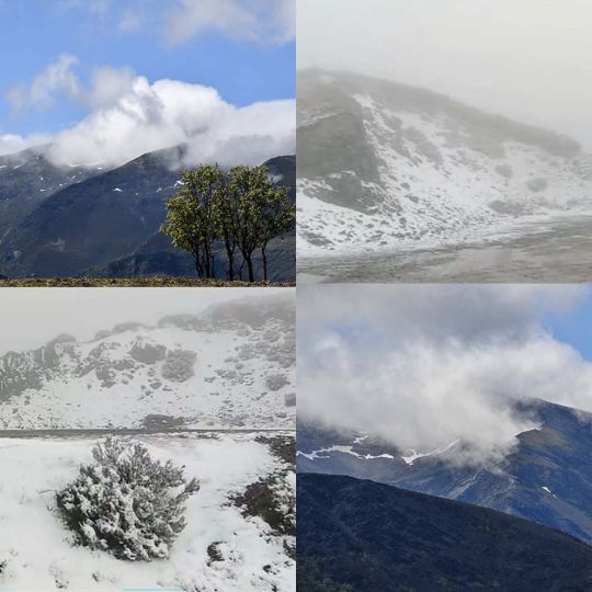 Collage nieve en el Morredero y Ancares
