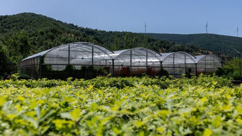 Vivero de Ciuden 