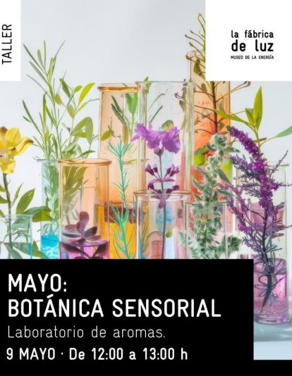 Botánica sensorial