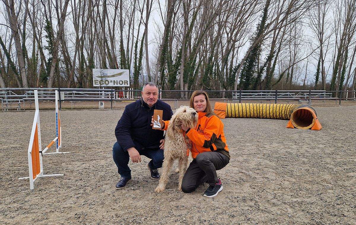 feria perros caza camponaraya