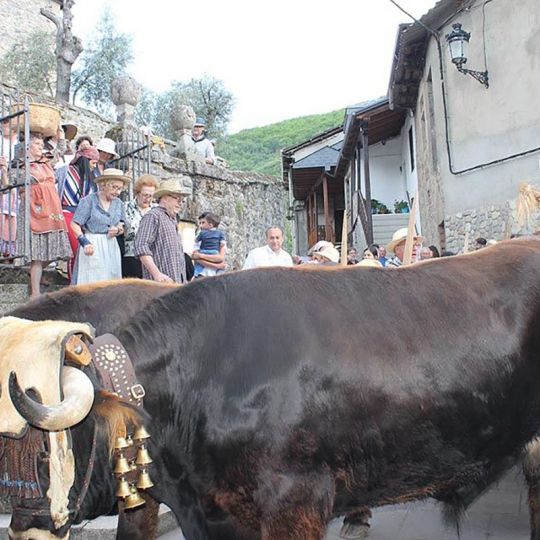 Imagen de la procesión de San Isidro por las calles de Molinaseca