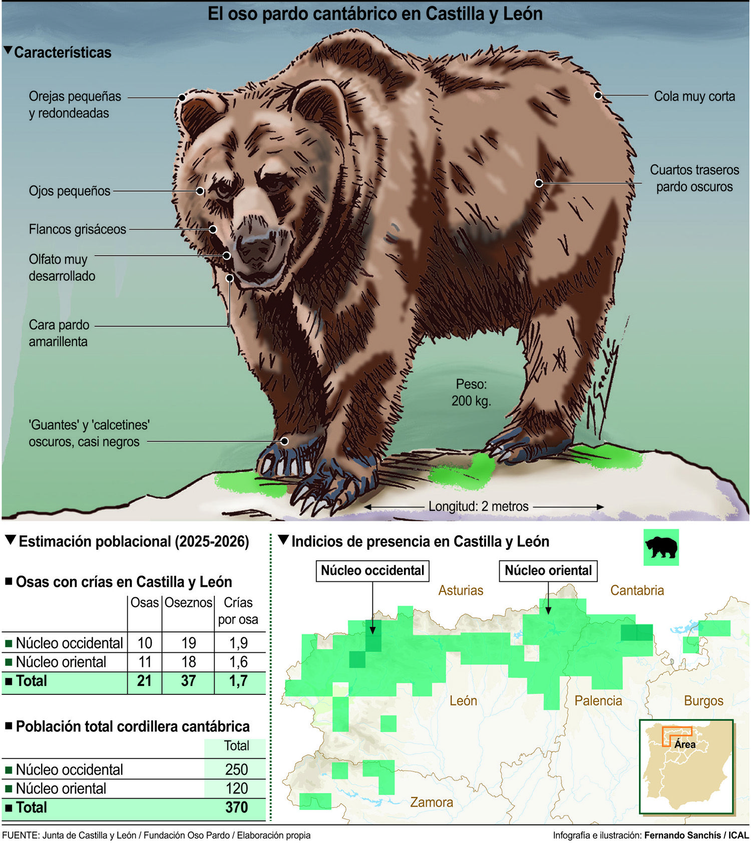 Situación del Oso Pardo en Castilla y León