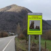 JCyL / ICAL . Señal de aviso por osos en Rabanal de Abajo