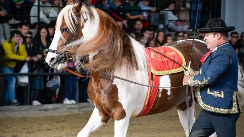 Espectáculo ecuestre de la Feria del Caballo de Camponaraya 2026 (9)