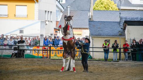 Espectáculo ecuestre de la Feria del Caballo de Camponaraya 2026 (10)