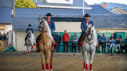 Espectáculo ecuestre de la Feria del Caballo de Camponaraya 2026 (16)
