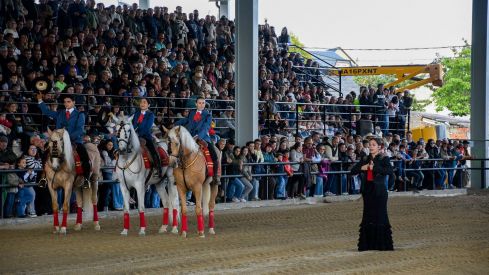 Espectáculo ecuestre de la Feria del Caballo de Camponaraya 2026 (21)