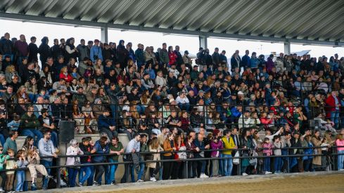 Espectáculo ecuestre de la Feria del Caballo de Camponaraya 2026 (22)