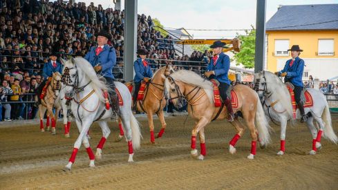 Espectáculo ecuestre de la Feria del Caballo de Camponaraya 2026 (24)