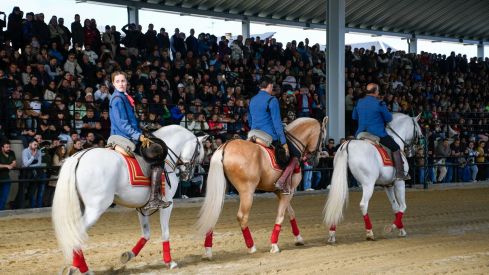 Espectáculo ecuestre de la Feria del Caballo de Camponaraya 2026 (38)