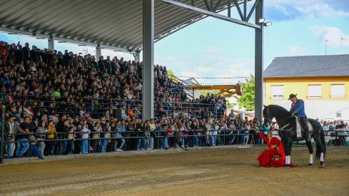 Espectáculo ecuestre de la Feria del Caballo de Camponaraya 2026 (41)