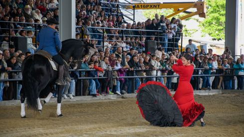 Espectáculo ecuestre de la Feria del Caballo de Camponaraya 2026 (45)