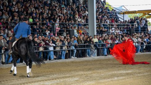 Espectáculo ecuestre de la Feria del Caballo de Camponaraya 2026 (56)