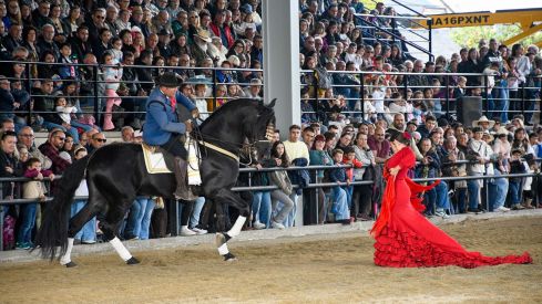 Espectáculo ecuestre de la Feria del Caballo de Camponaraya 2026 (57)