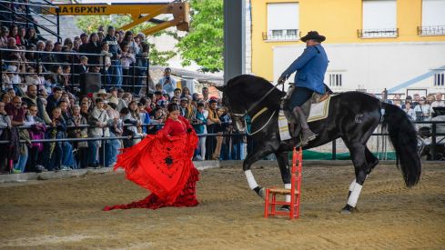 Espectáculo ecuestre de la Feria del Caballo de Camponaraya 2026 (58)