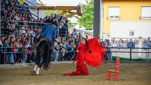Espectáculo ecuestre de la Feria del Caballo de Camponaraya 2026 (59)
