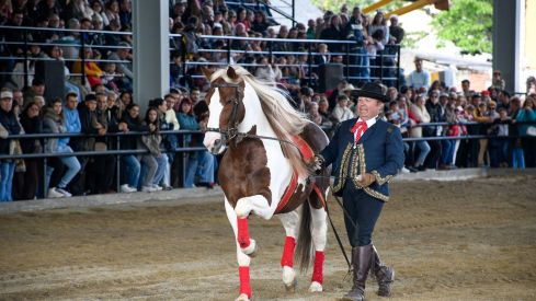 Espectáculo ecuestre de la Feria del Caballo de Camponaraya 2026 (67)