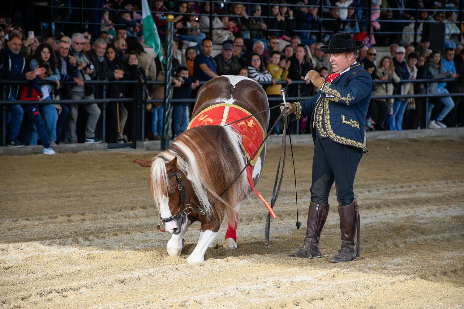 Espectáculo ecuestre de la Feria del Caballo de Camponaraya 2026 (68)