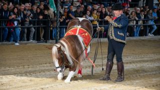 Espectáculo ecuestre de la Feria del Caballo de Camponaraya 2026 (68) Espectáculo ecuestre de la Feria del Caballo de Camponaraya 2026 (68)