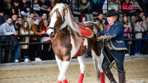 Espectáculo ecuestre de la Feria del Caballo de Camponaraya 2026 (69)