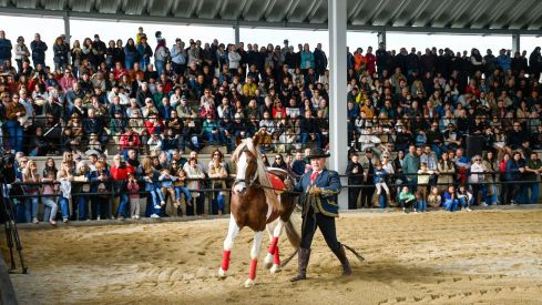 Espectáculo ecuestre de la Feria del Caballo de Camponaraya 2026 (72)