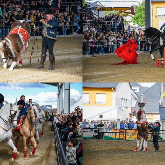 feria del caballo feria del caballo