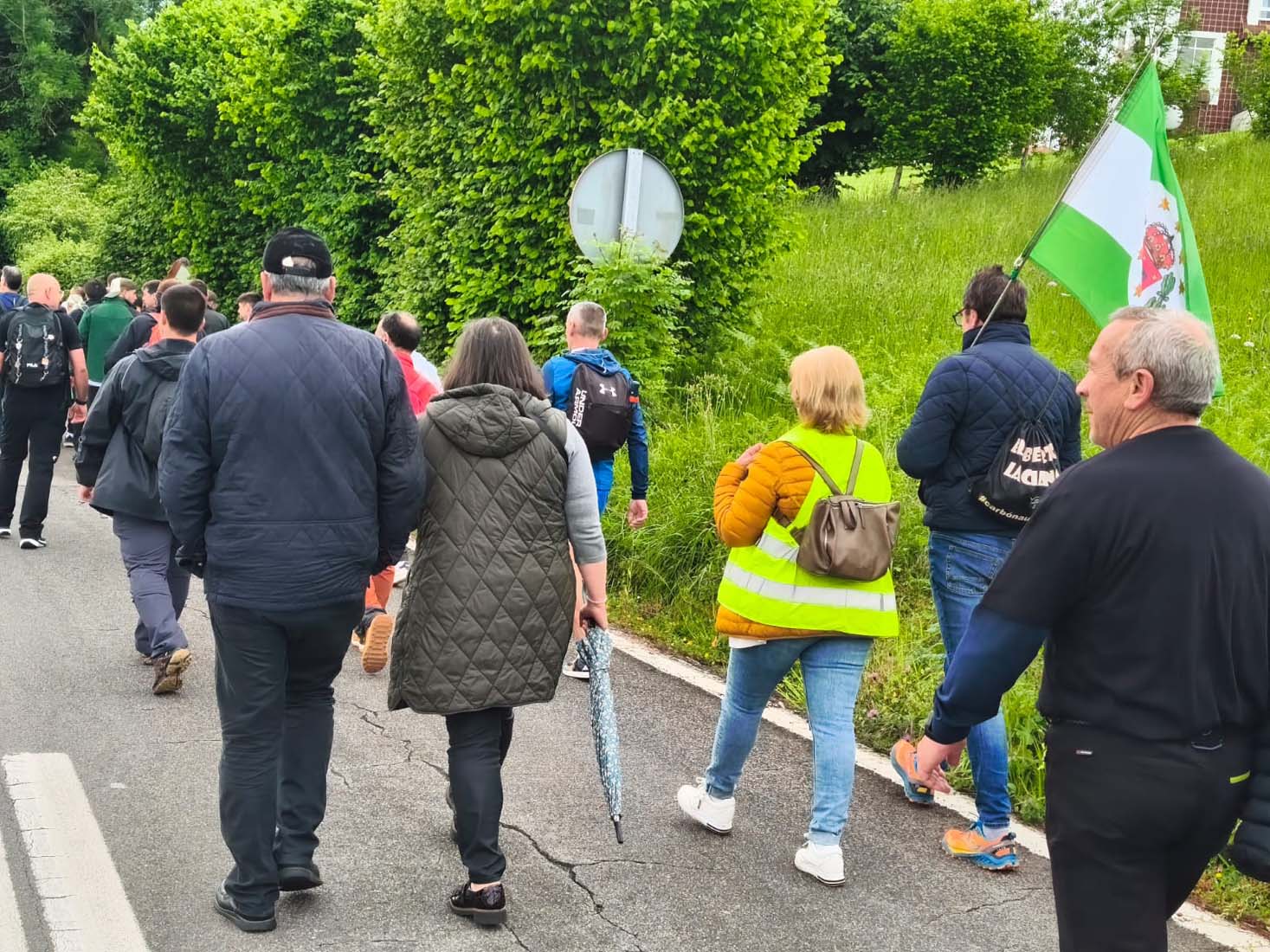 Los compañeros de Fabero acompañan la marcha negra de los mineros de Ibias a su entrada en Oviedo(1) Los compañeros de Fabero acompañan la marcha negra de los mineros de Ibias a su entrada en Oviedo(1)