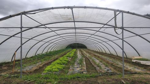 Banco de Tierras del Consejo Comarcal primer Espacio Test Agrario e Castilla y León