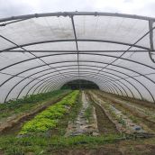 Banco de Tierras del Consejo Comarcal primer Espacio Test Agrario e Castilla y León Banco de Tierras del Consejo Comarcal primer Espacio Test Agrario e Castilla y León