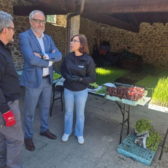 El Consejo Comarcal del Bierzo entrega 27.000 plantones gratis para fomentar la horticultura de autoconsumo El Consejo Comarcal del Bierzo entrega 27.000 plantones gratis para fomentar la horticultura de autoconsumo