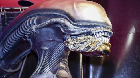 Figura de Alien en el Morticia (2)