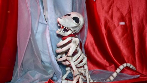 Figura de La Novia Cadáver en el Morticia (2)