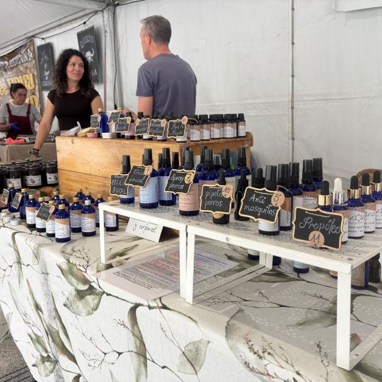 Mercado de Primavera de Ponferrada  (7)