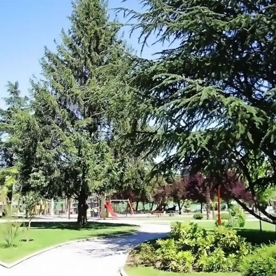 El Parque Gil y Carrasco de Bembibre | Foto: Ayuntamiento de Bembibre