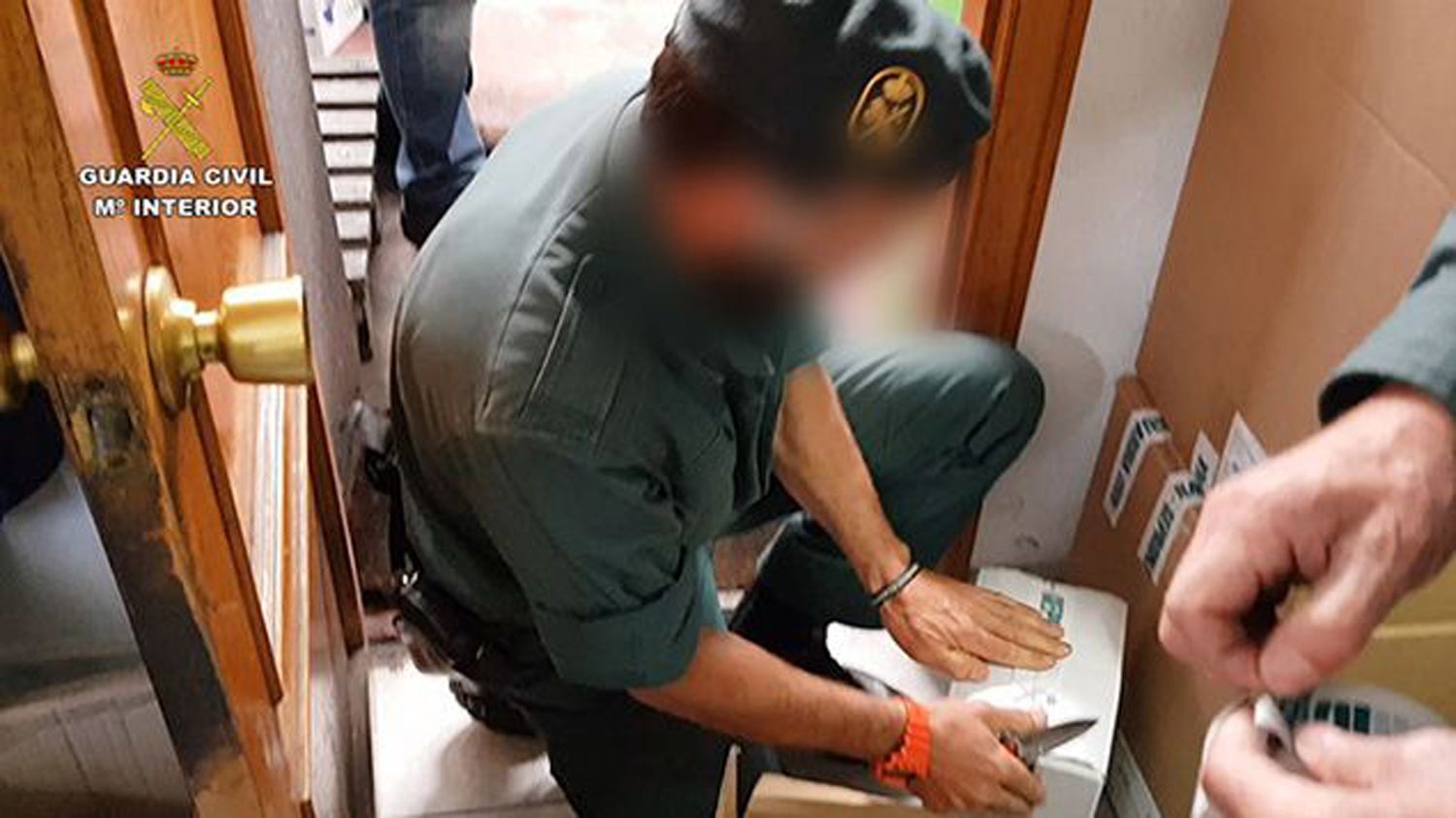 Operación Baco, año 2019 (2) | Foto: Archivo Operación Baco, año 2019 (2) | Foto: Archivo