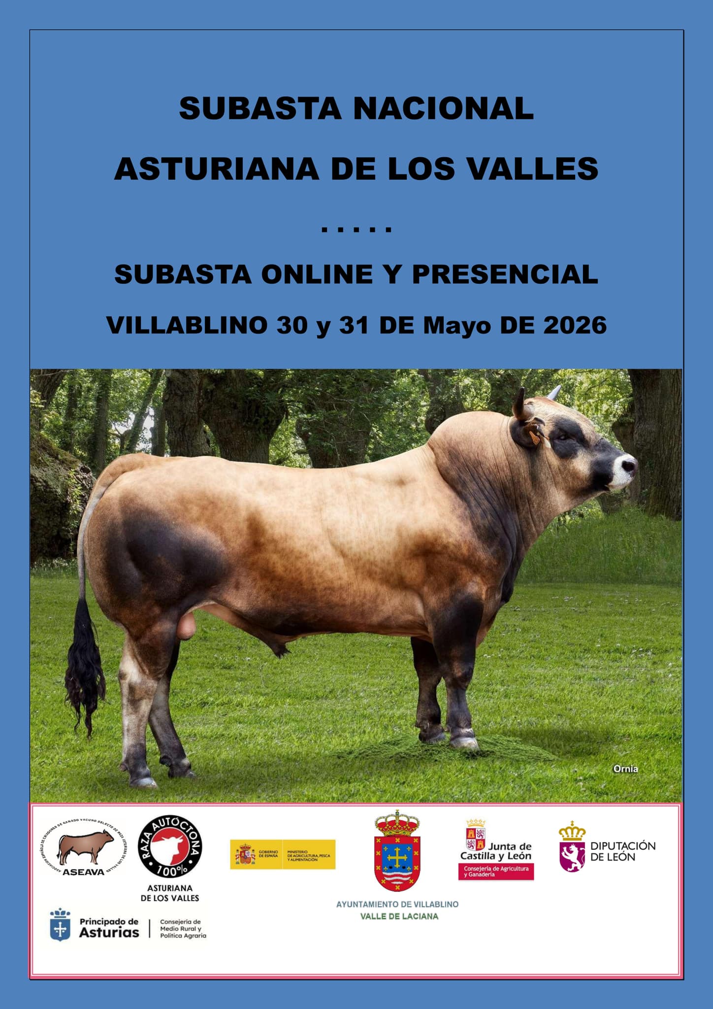 CARTEL SUBASTA (1) CARTEL SUBASTA (1)
