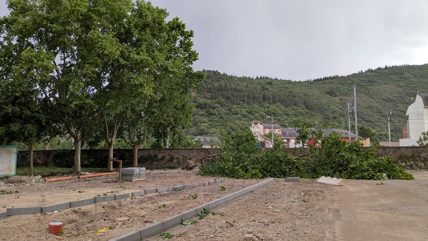 Árboles de los Jardines del Sil derribados por el viento (5) Árboles de los Jardines del Sil derribados por el viento (5)