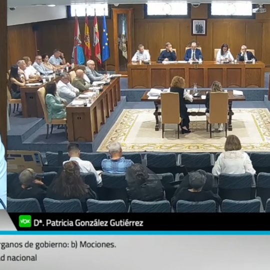 Pleno municipal de este viernes 29 de mayo Moción de VOX