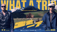 What a Trip