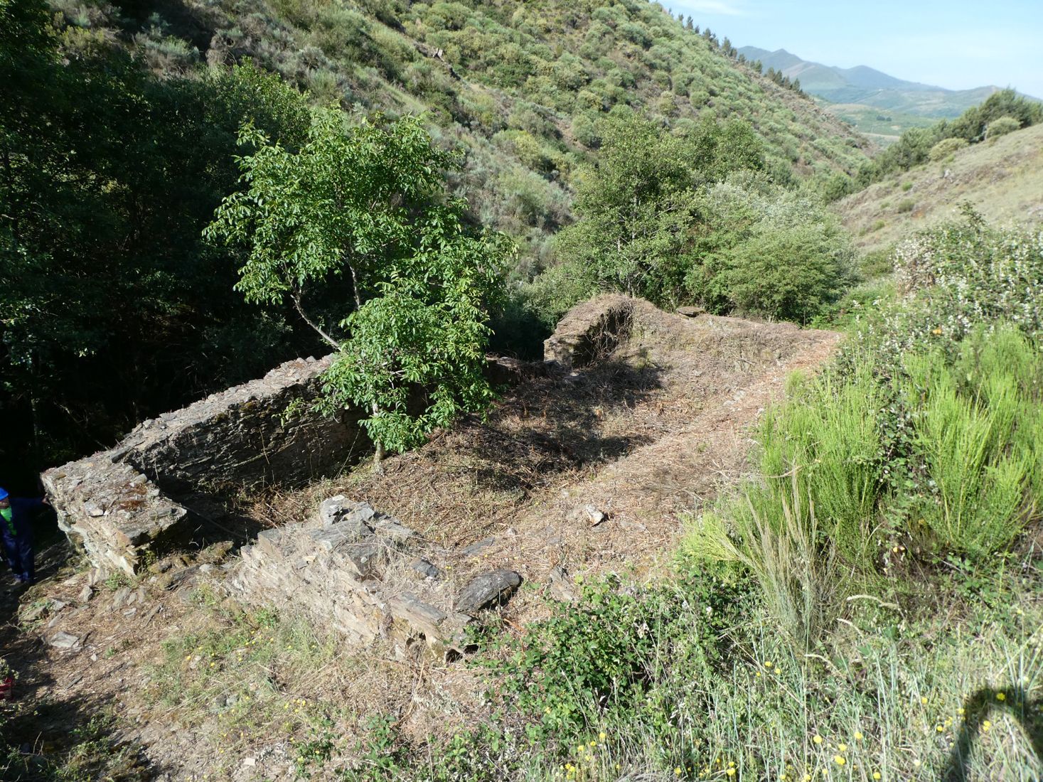 Estado de las minas de Valcabado antes de su desbroce y mejora (1) Estado de las minas de Valcabado antes de su desbroce y mejora (1)