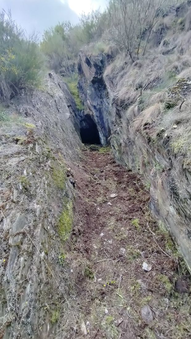 Estado de las minas de Valcabado antes de su desbroce y mejora (4) Estado de las minas de Valcabado antes de su desbroce y mejora (4)