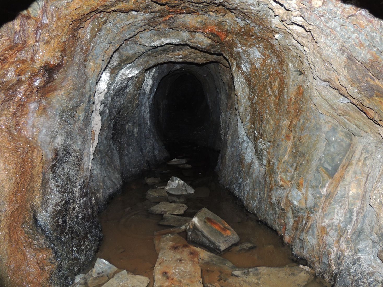 Estado de las minas de Valcabado antes de su desbroce y mejora (6) Estado de las minas de Valcabado antes de su desbroce y mejora (6)