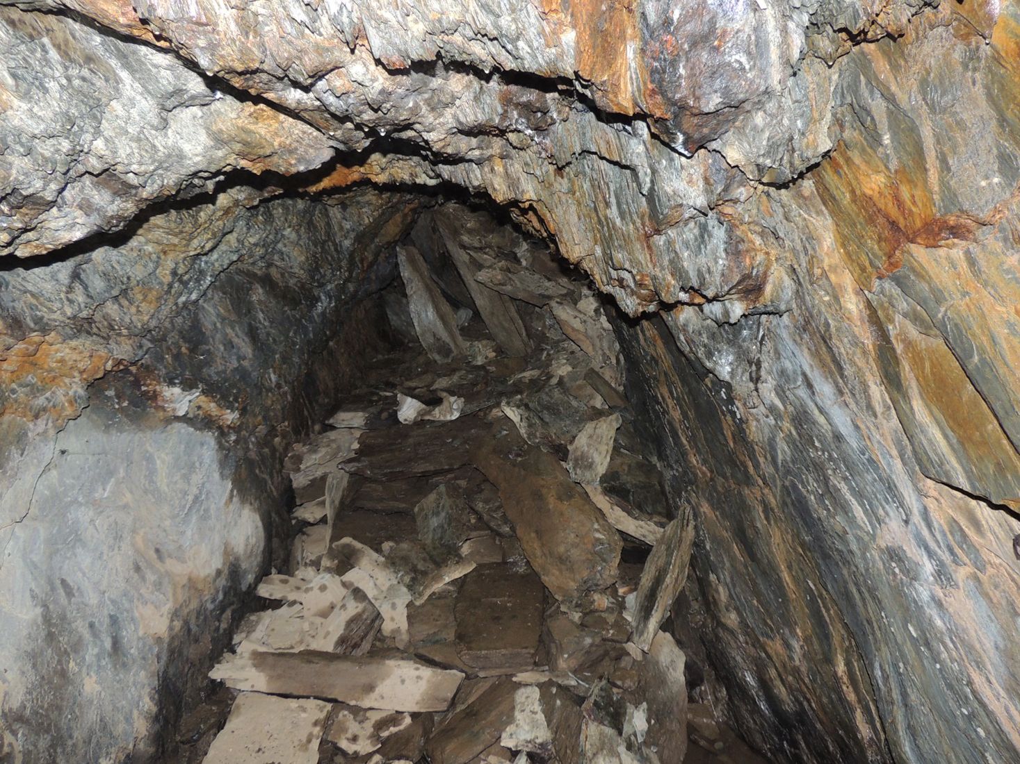 Estado de las minas de Valcabado antes de su desbroce y mejora (8) Estado de las minas de Valcabado antes de su desbroce y mejora (8)