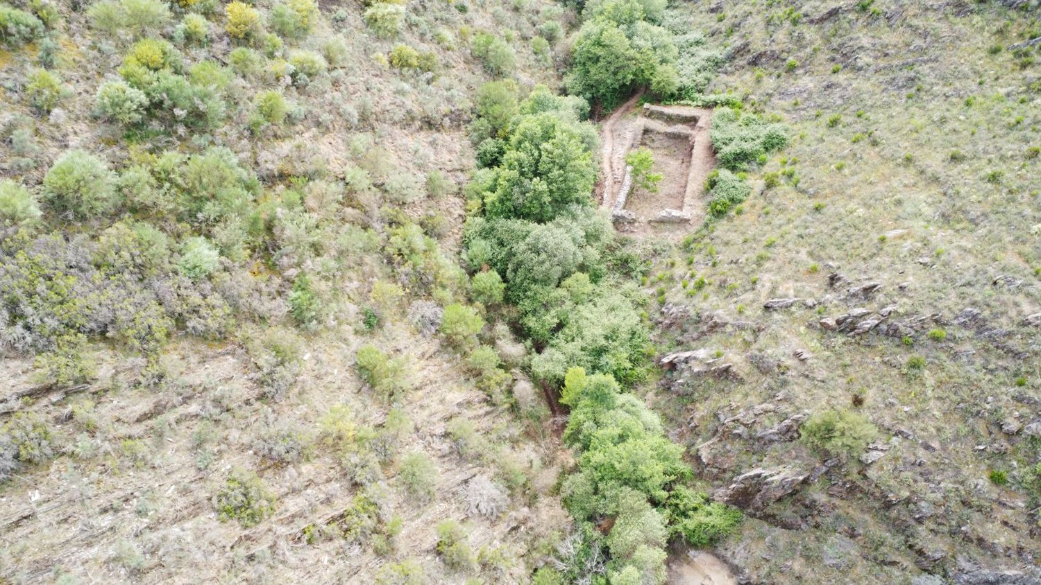 Estado de las minas de Valcabado antes de su desbroce y mejora (10) Estado de las minas de Valcabado antes de su desbroce y mejora (10)