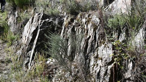 Estado actual de las Minas de Valcabado  (3)