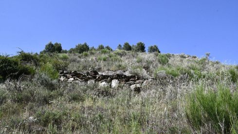 Estado actual de las Minas de Valcabado  (5)