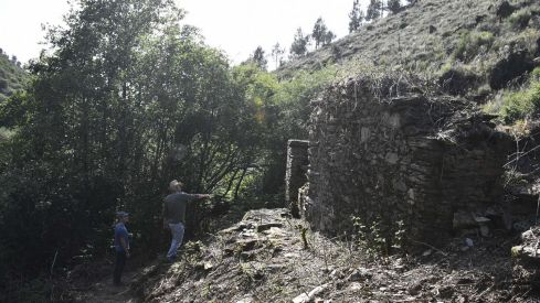 Estado actual de las Minas de Valcabado  (14)