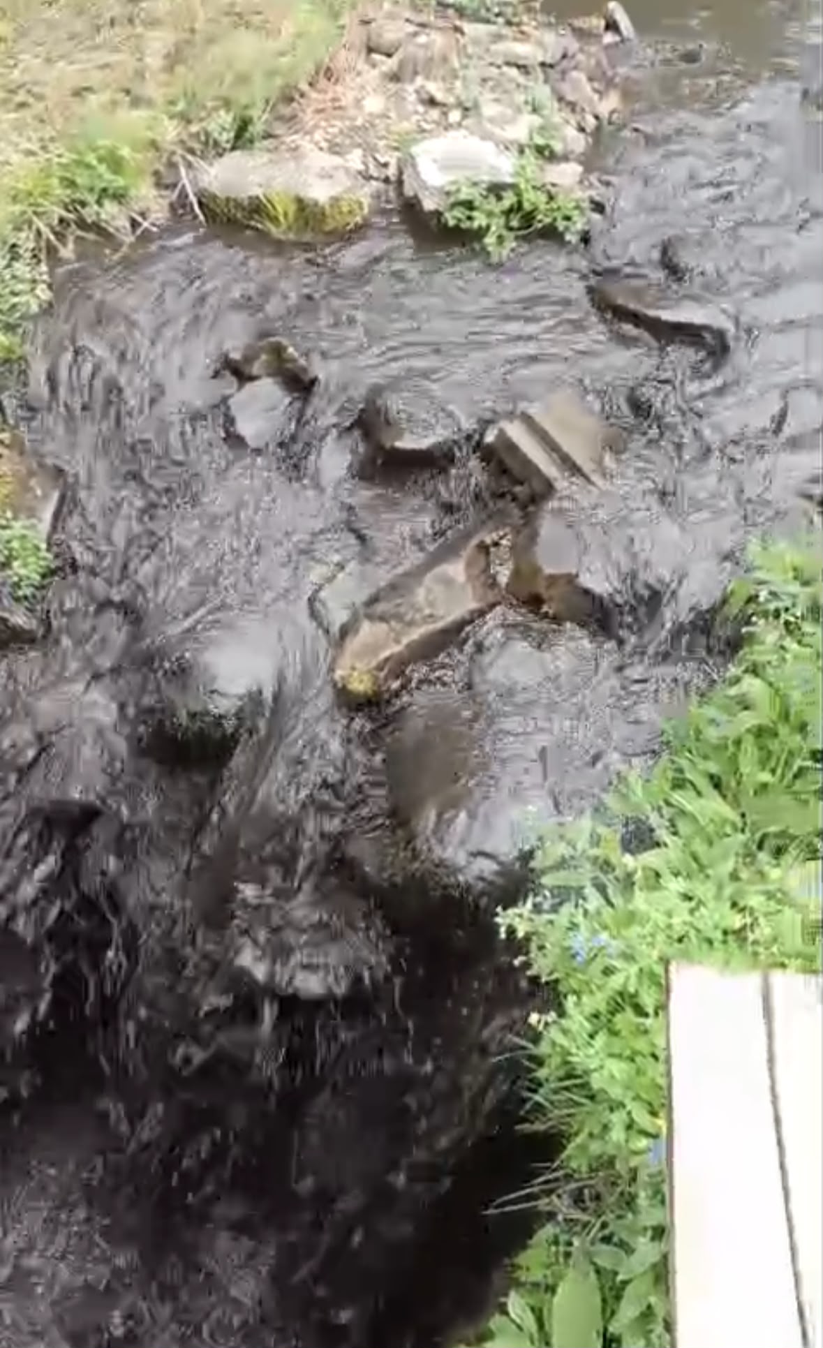 Situación del río a su paso por Carracedo de Compludo Situación del río a su paso por Carracedo de Compludo