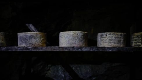 Queso Tozudo de Vallelongo Queso Tozudo de Vallelongo